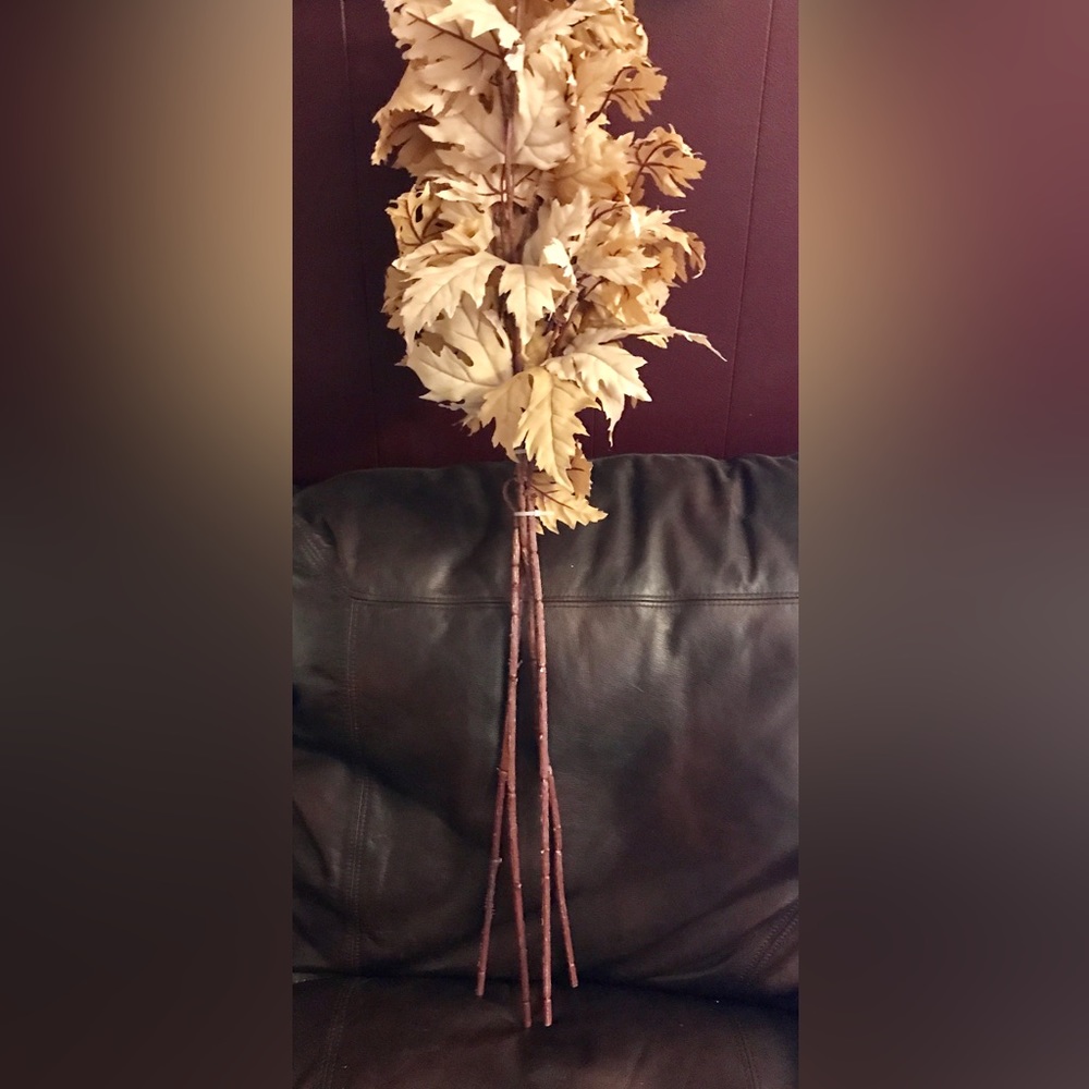 COPY - Beautiful soft mapleleaf this is a huge bundle